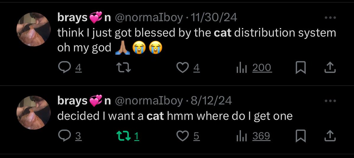normaIboy's tweet image. 