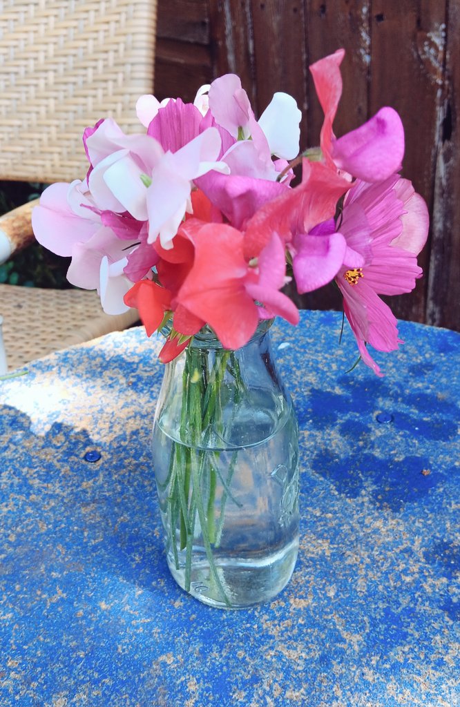 ametcalfe42's tweet image. I think these fit for #SixWeeksOfColour blues and purple flowers in my garden #cardiff #gardenshour