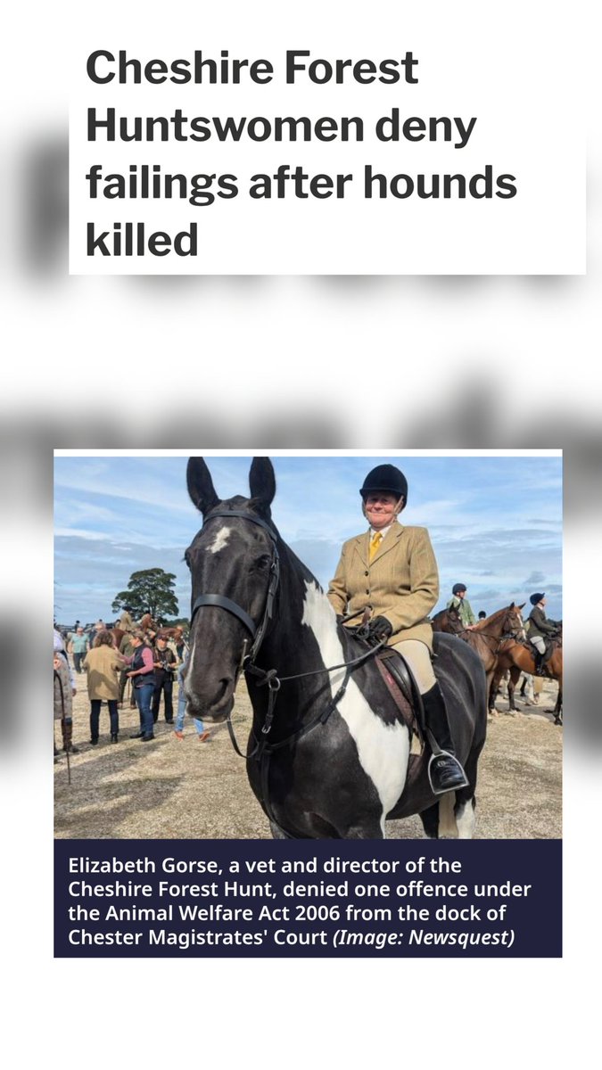 Once a Scruffy Cop (@scruffycop) on Twitter photo Just another example of blatant disregard for making sure the hunt stick to the law. See how this pans out for "those with responsibility for animal welfare" #smokescreen #trailhuntlies #timeforchange <a href="/CheshireLive/">Cheshire Live</a> <a href="/HsaChair/">HSA Chair</a> <a href="/HuntSabs/">Hunt Saboteurs Association</a> Just another example of blatant disregard for making sure the hunt stick to the law. See how this pans out for "those with responsibility for animal welfare" #smokescreen #trailhuntlies #timeforchange <a href="/CheshireLive/">Cheshire Live</a> <a href="/HsaChair/">HSA Chair</a> <a href="/HuntSabs/">Hunt Saboteurs Association</a>