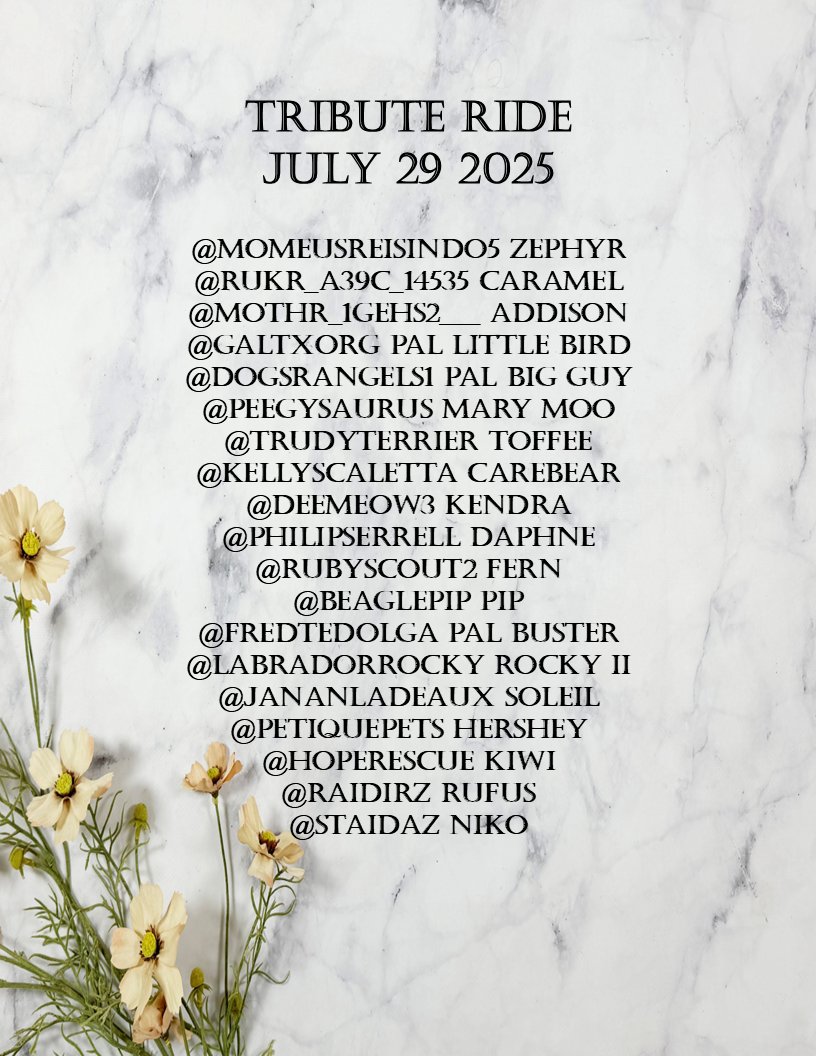 #TributeRide #BBOT #PA #ZSHQ #TheAviators
#TheRuffRiderz #Hedgewatch