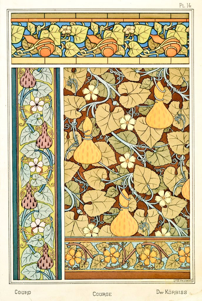 Art Nouveau flower and plant design from 1896. "The Gourd" by illustrator M.P. Verneuil, France.