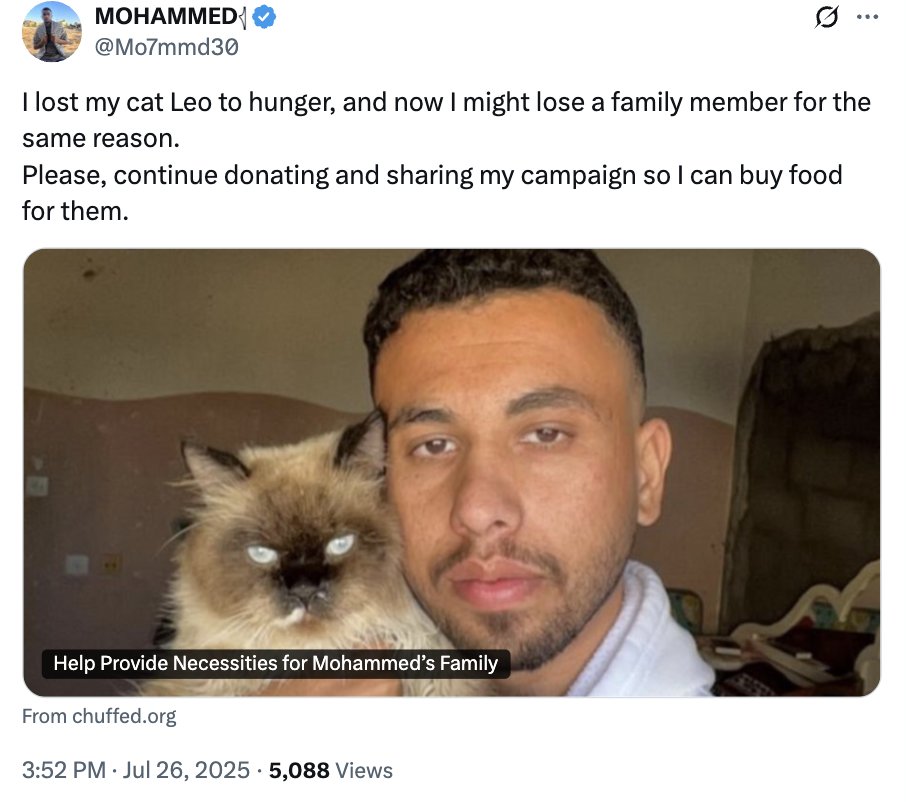 🍉Nicky Benoit🏳️‍⚧️ tweet media