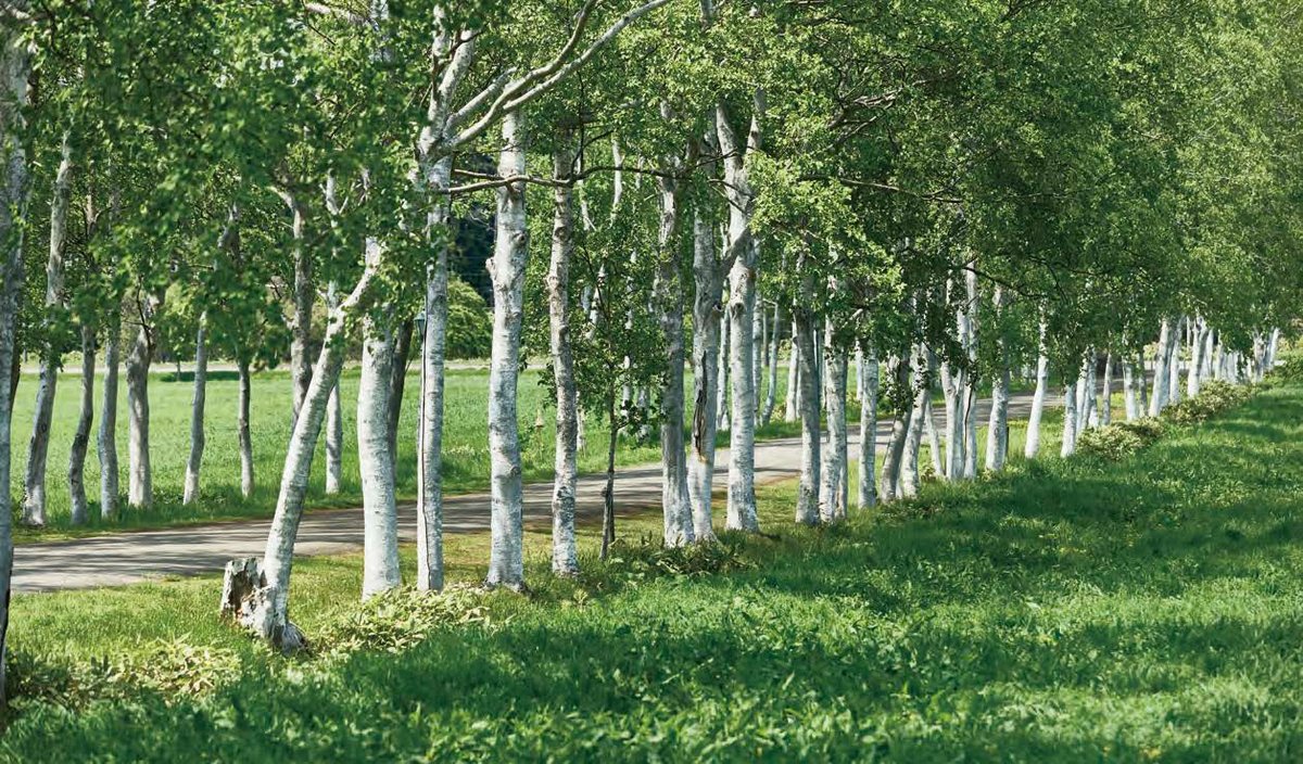 Hightech_MLs's tweet image. --------------------
医療従事者向け
日立自動分析情報誌
--------------------

「Lab SCOPE」Vol.70 を発送しました。
　そろそろお手元に届く頃でしょうか📖

誌面の一部は
こちらからもお読みいただけます👇
🔗labscope.net

#日立ハイテク #LabSCOPE