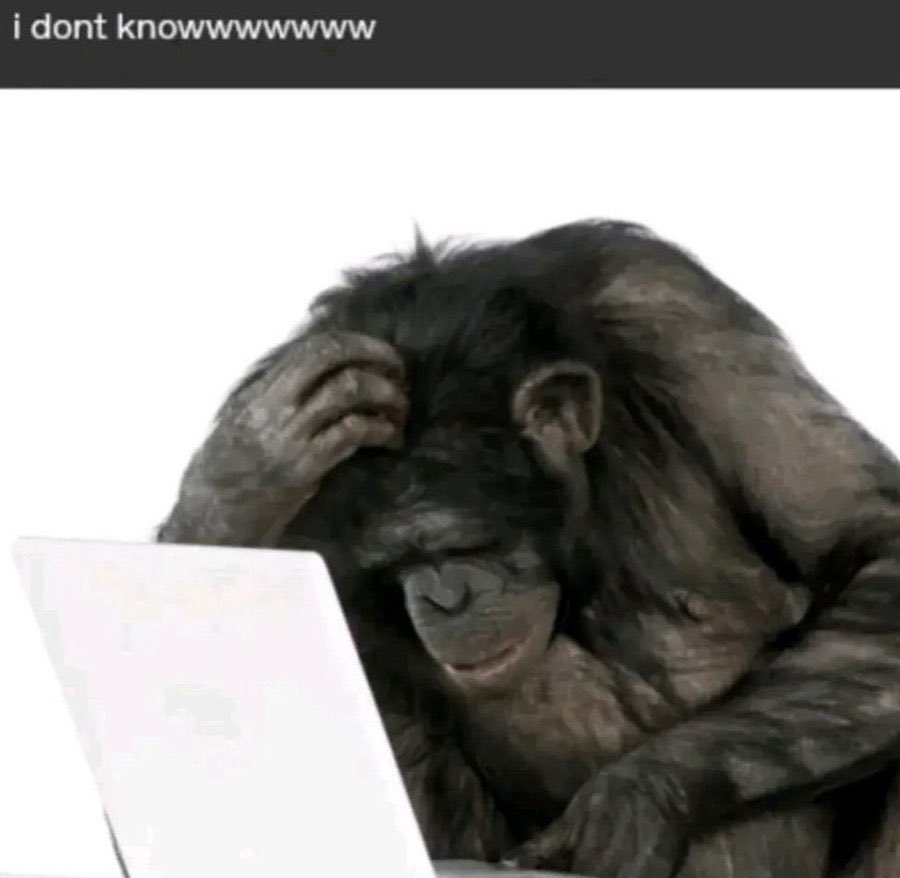 Obsessedbutch's tweet image. me trying to pick a pearler bead design