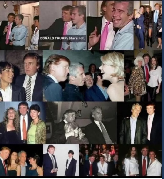 Brown Eyed Susan (@smc429) on Twitter photo <a href="/realTuckFrumper/">#TuckFrump</a> Look at how they were able to PLANT Jeffrey and Trump together in the same rape house <a href="/realTuckFrumper/">#TuckFrump</a> Look at how they were able to PLANT Jeffrey and Trump together in the same rape house
