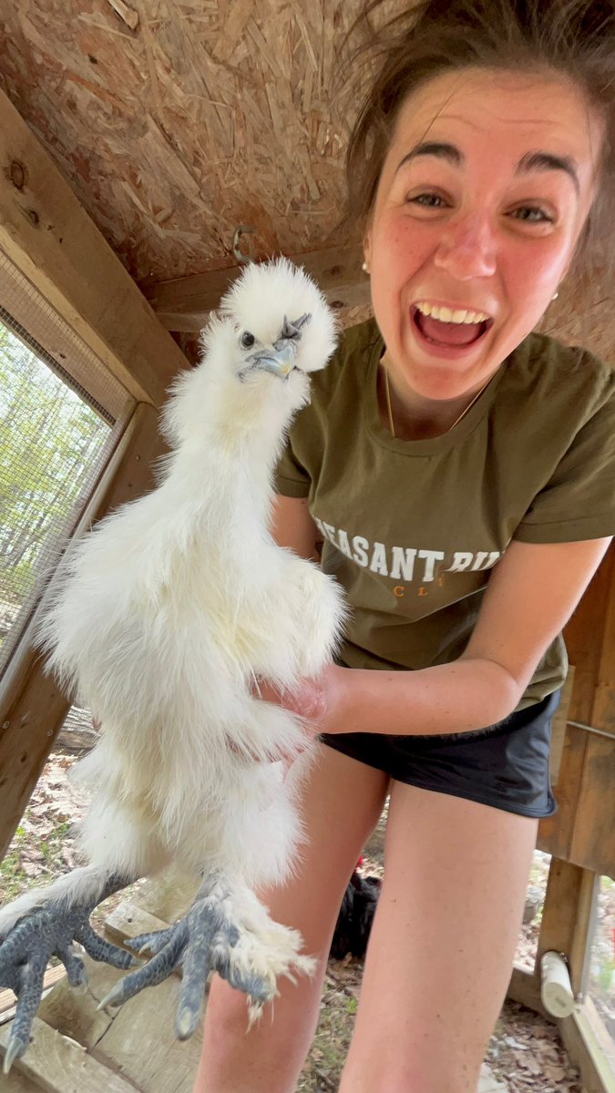 Leeroy! Our main man, the kindest, goofiest, most personable rooster I’ve ever met. You will be missed by all the <a href="/PheasantRunGolf/">Pheasant Run</a> staff. You went out a hero, protecting your flock of ladies. The fox won today, hopefully it has a family to feed and isn’t some bachelor fox taking