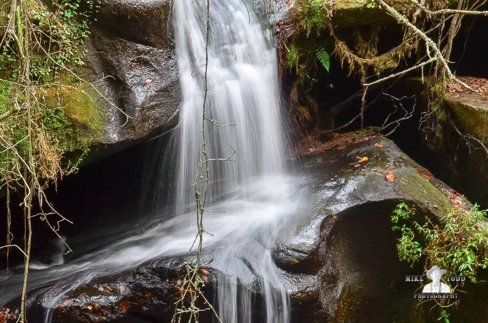 Dismal Canyon Phil Campbell Alabama