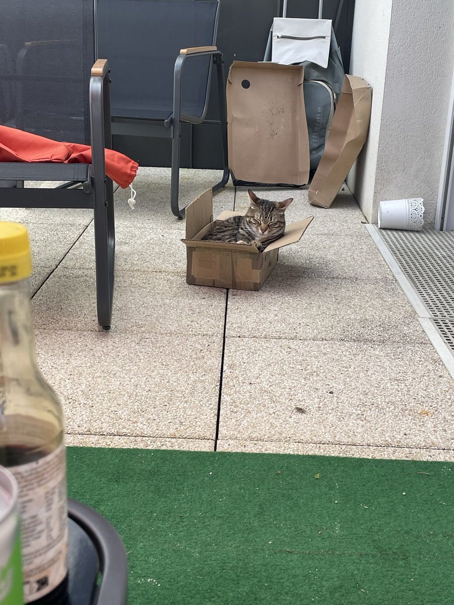 fchloe_'s tweet image. Elle est partie.
Je l’aimerais toute ma vie, et même après.
C’était la chatte la plus câline, la plus douce que je n’ai jamais eu et que j’aurais jamais plus.
J’espère qu’elle sera bien là haut