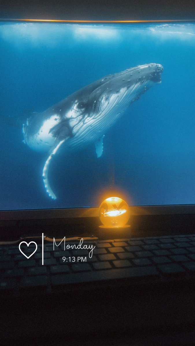 0xBabywhale5's tweet image. With @Aptos I’m gonna move from Babywhale🐋 status to Whale status 🐳
I believe in @Aptos the GTE!