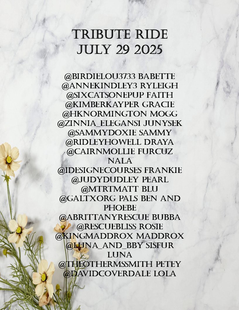 #TributeRide #BBOT #PA #ZSHQ #TheAviators
#TheRuffRiderz #Hedgewatch