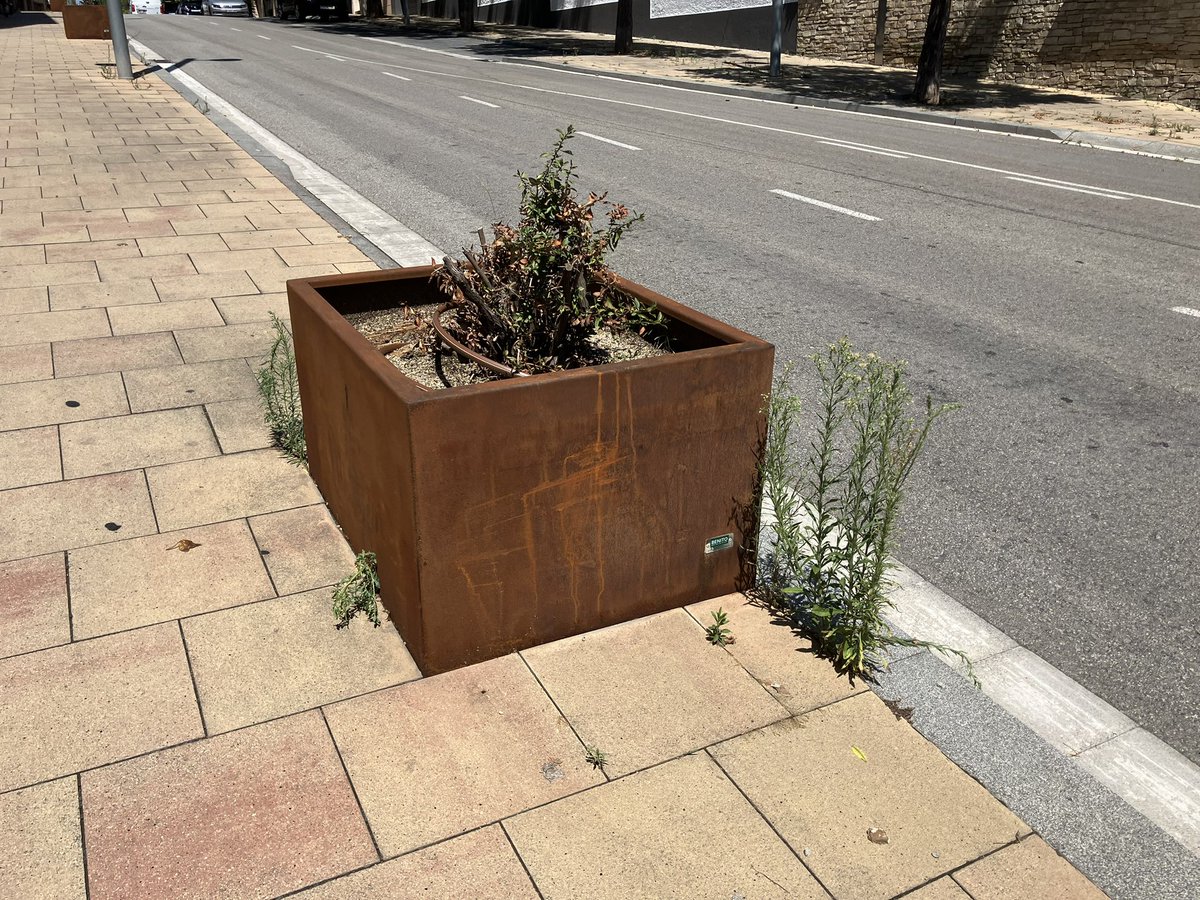 Mentre Junts fa i desfà molts parterres de la ciutat, hi ha barris sense ni una flor. Diversos veïns i veïnes ens ho han fet arribar: les torretes del carrer Comarca estan abandonades. Volem que tots els barris siguin de primera.