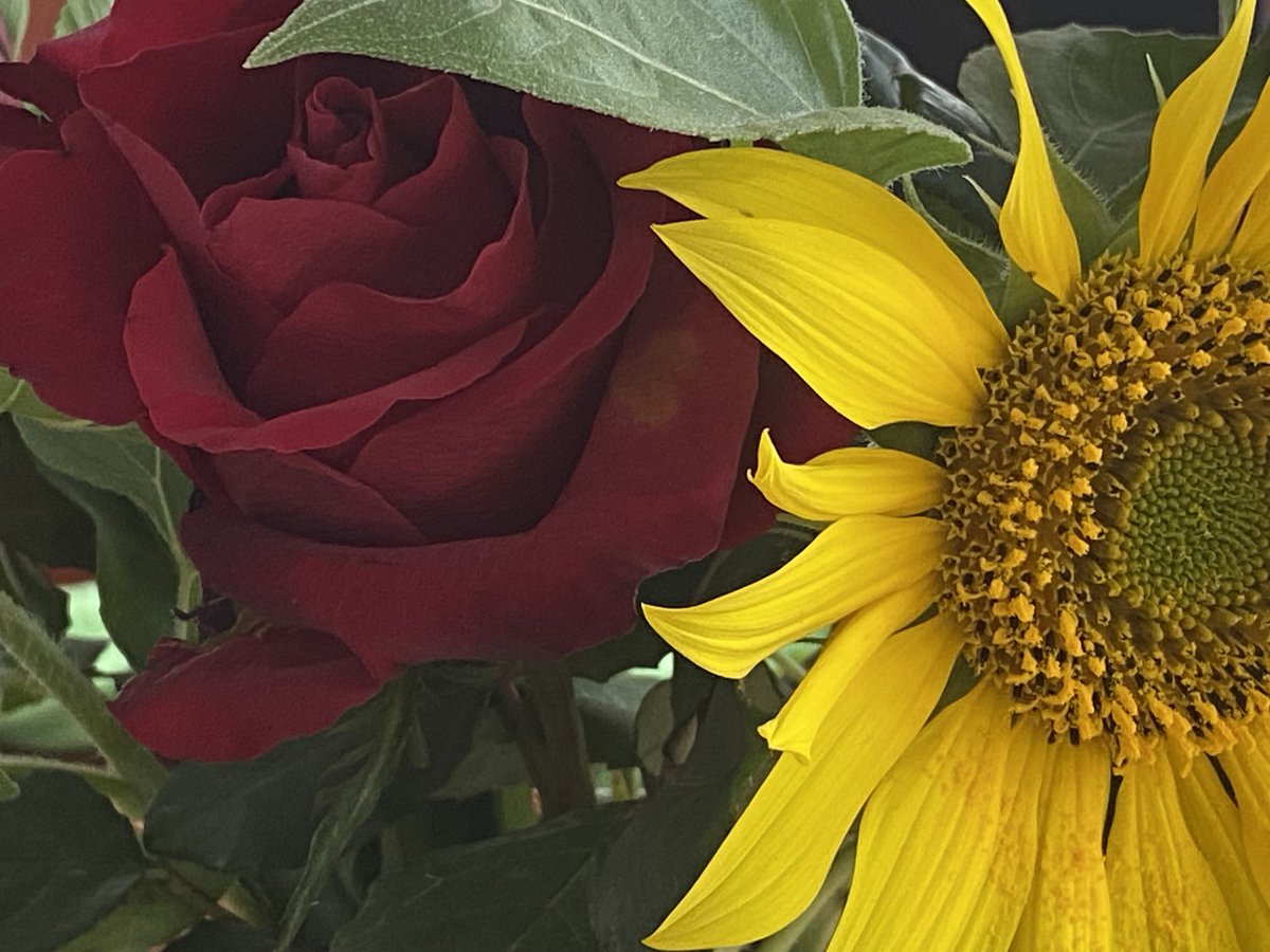 Endlich regnet es kräftig …