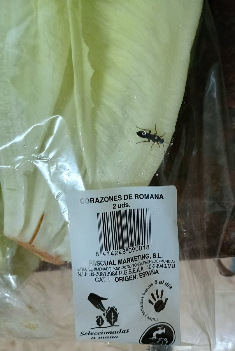 Conocía los yogures +proteínas de <a href="/Mercadona/">Mercadona</a> , pero no las lechugas de la misma gama con extra de proteínas. Voy a probarlas, a ver qué tal. ¡Ya os contaré!

De los controles de calidad, ya hablamos otro día...
