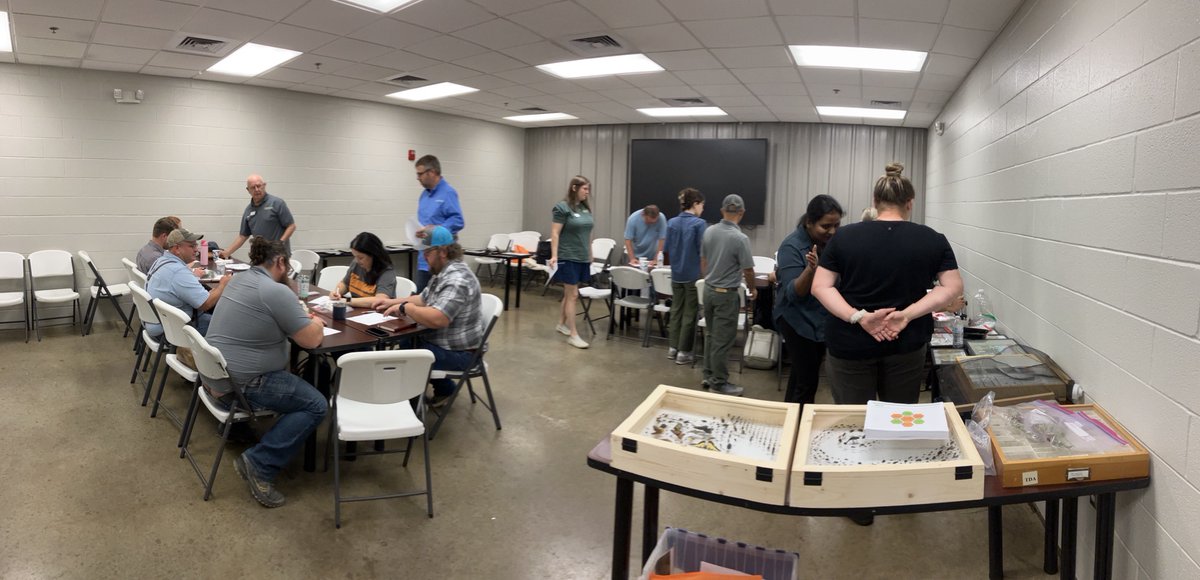 Ranabhat Nar tweet media