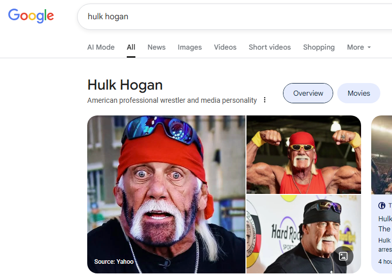 The first picture when you search for Hulk Hogan on Google is perfect.