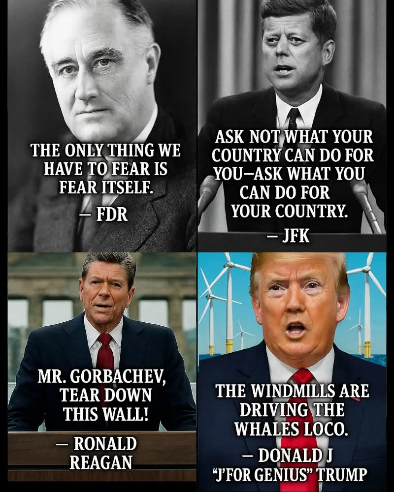 moneyfirstralph's tweet image. One of these things is not like the others, one of these things does not belong... #windmills #distraction #Scotland #fucktrump #lockhimup #Felon47 #pedo #Rapist #EpsteinCoverup #Epstein
@realDonaldTrump @TrumpEpsteinBot