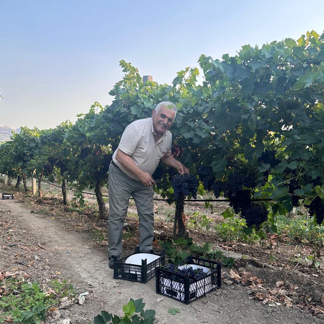 Toprağımıza, emeğimize, helal rızkımıza bin şükür.

Rabbim her daim bereketini arttırsın.