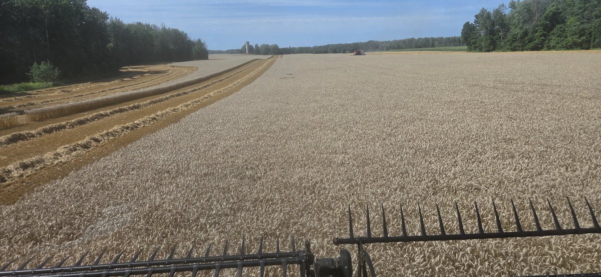 I think we've got the 2 rows dialed in on the 8240👌