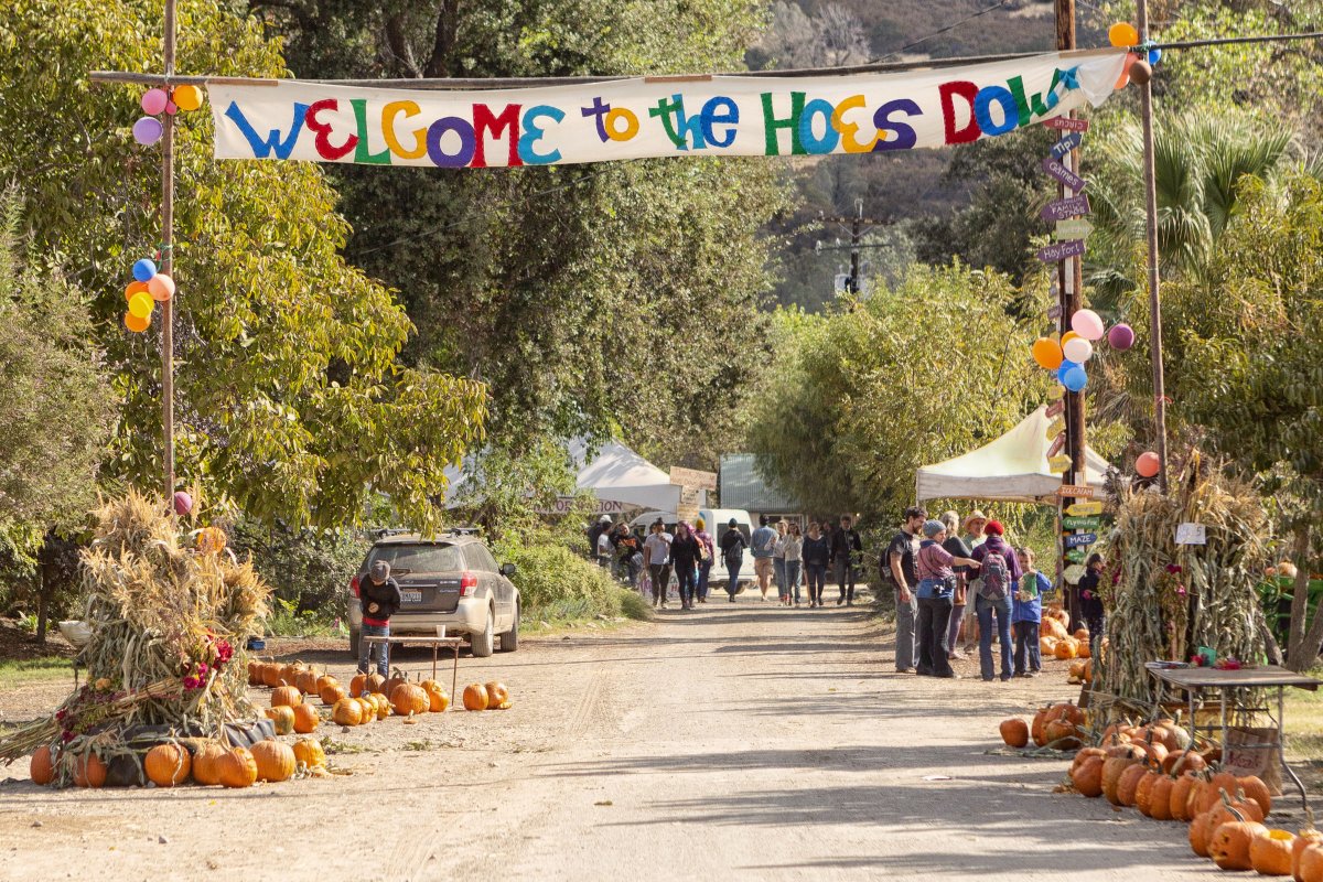 Tickets for the 34th Annual Hoes Down Harvest Festival go on sale this Friday! Join us at Full Belly Farm on Saturday, October 4, 2025 for a family-friendly celebration of farm life, community, and sustainable agriculture. Learn more at: eco-farm.org/hoes-down!