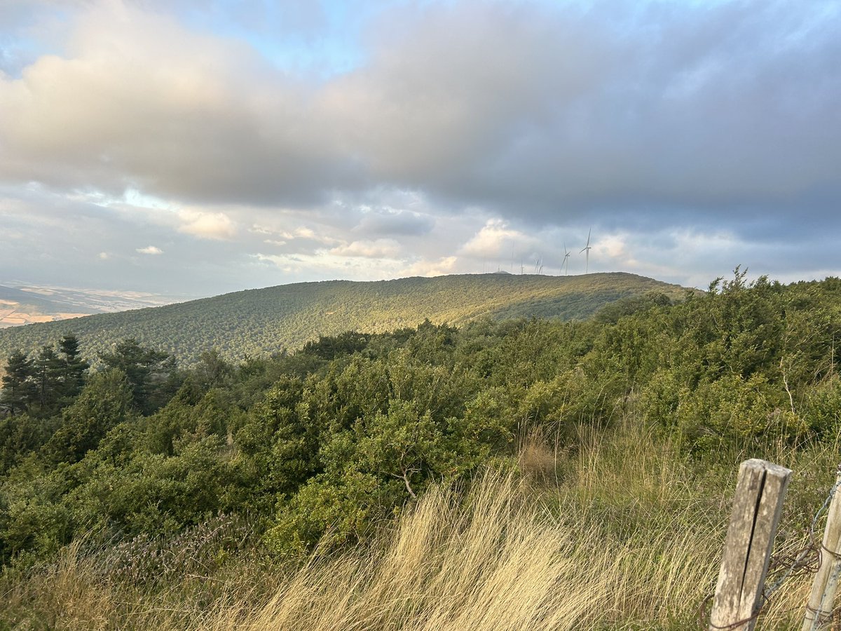 Meteonavarra_'s tweet image. Tarde por Alaiz, buen vendaval y 11ºC en la cima del monte (1171m) , las nieblas y la lluvia orográfica de estos días hacían que la tierra estuviese húmeda desde cota 1000-1050m hasta la cima, una bendición para el hayedo el fresco de esta semana, aunque no vendría mal alguna ⚡️