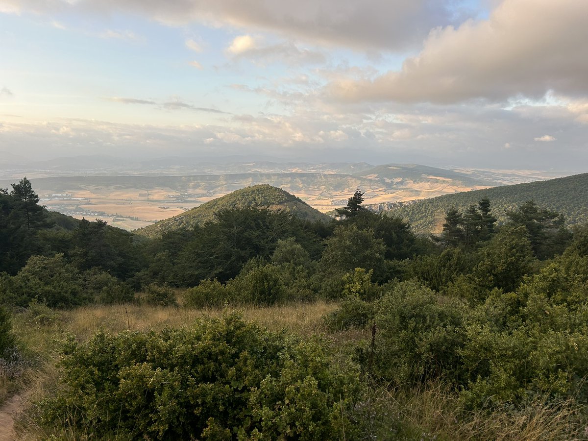 Meteonavarra_'s tweet image. Tarde por Alaiz, buen vendaval y 11ºC en la cima del monte (1171m) , las nieblas y la lluvia orográfica de estos días hacían que la tierra estuviese húmeda desde cota 1000-1050m hasta la cima, una bendición para el hayedo el fresco de esta semana, aunque no vendría mal alguna ⚡️
