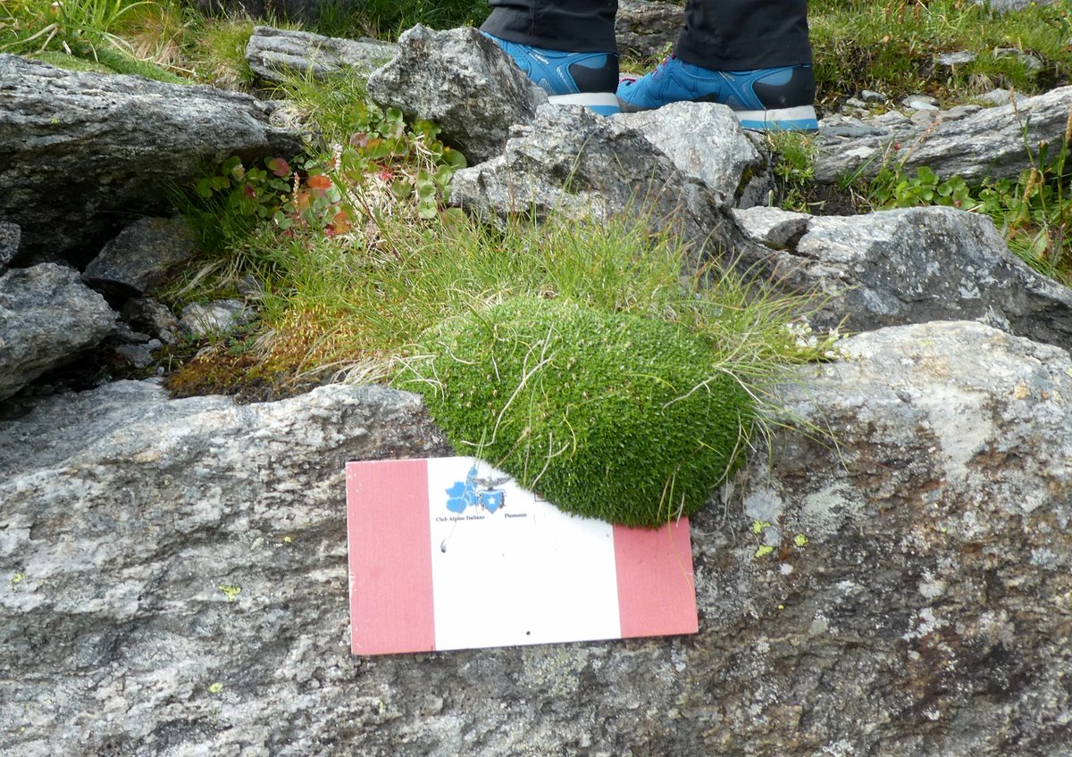 Beppe Leyduan tweet media