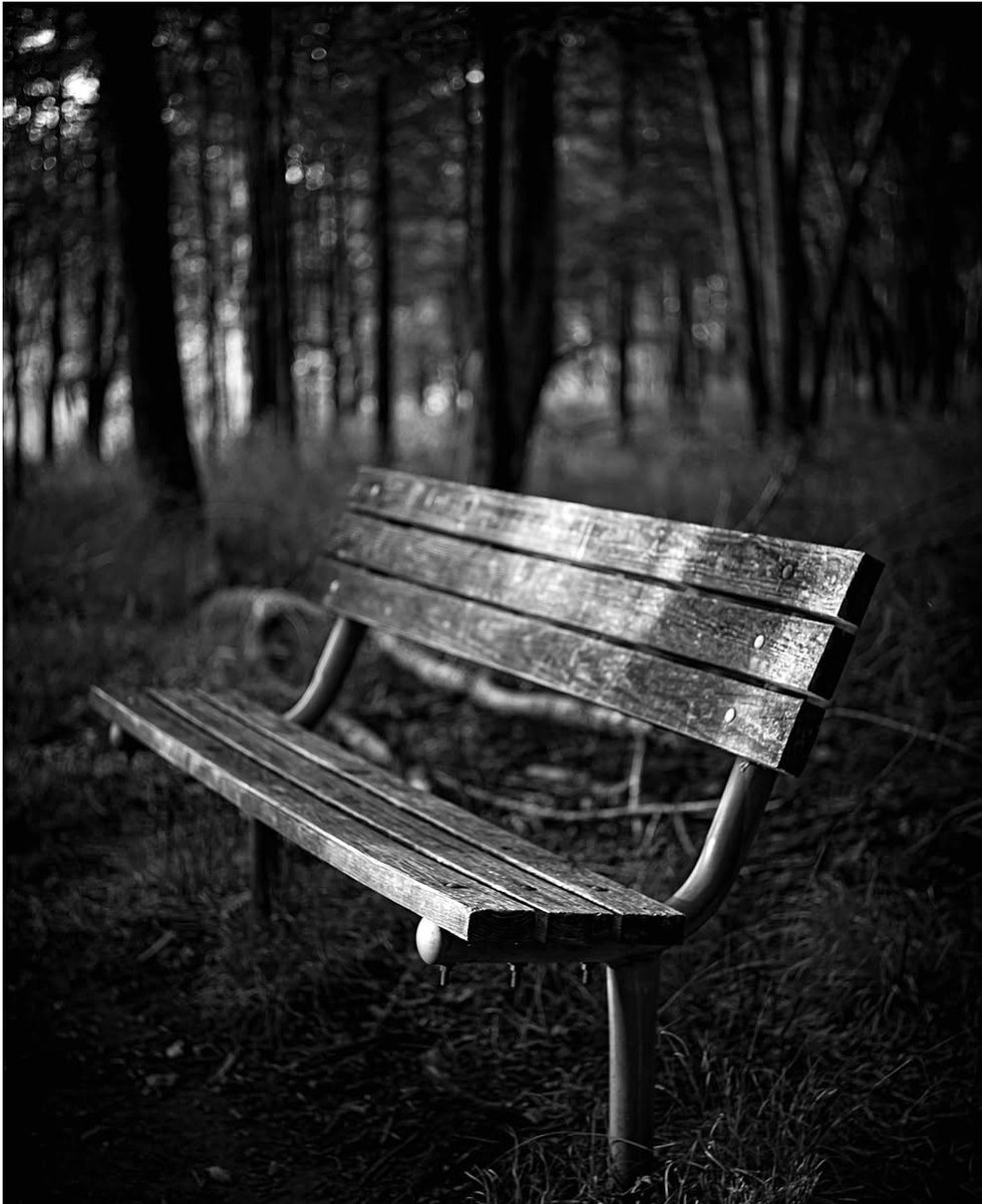 📝

المَللْ وَ صَلْ حَدَّهْ  .. 💔

             يبيلَهْ عِرسْ يَاا جَدَّةْ  ..  💞

.

مَليتْ مِنْ شُوفَةْ وَ لَمسَةْ العِشبَةْ  ..  🍂

                وَ مشتَآقْ أقطفْ لِمَحبوبتِي وَردَةْ  ..  🌹

📝