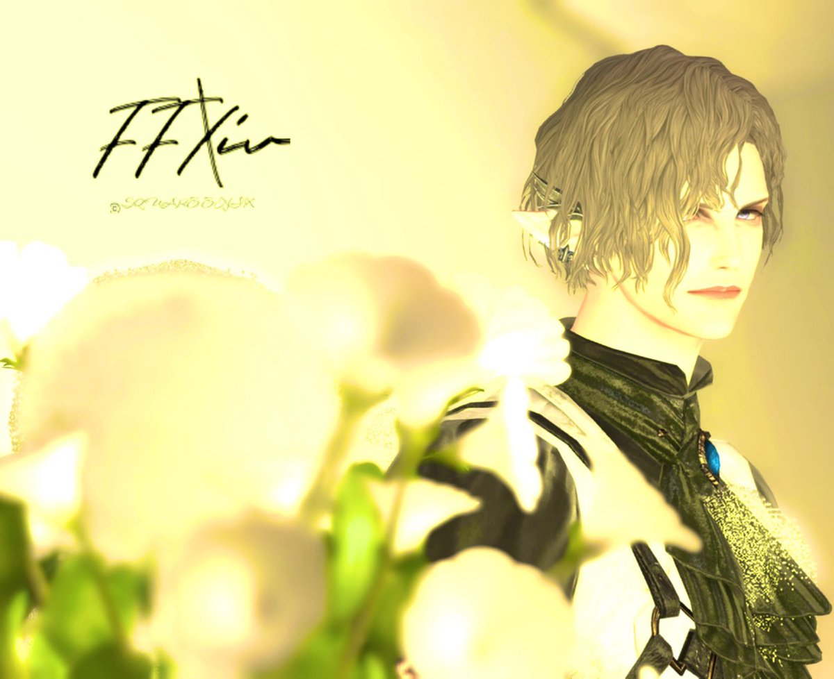 In soft light, forgotten wishes take root.

 #FF14_pom #FFXIV #ff14