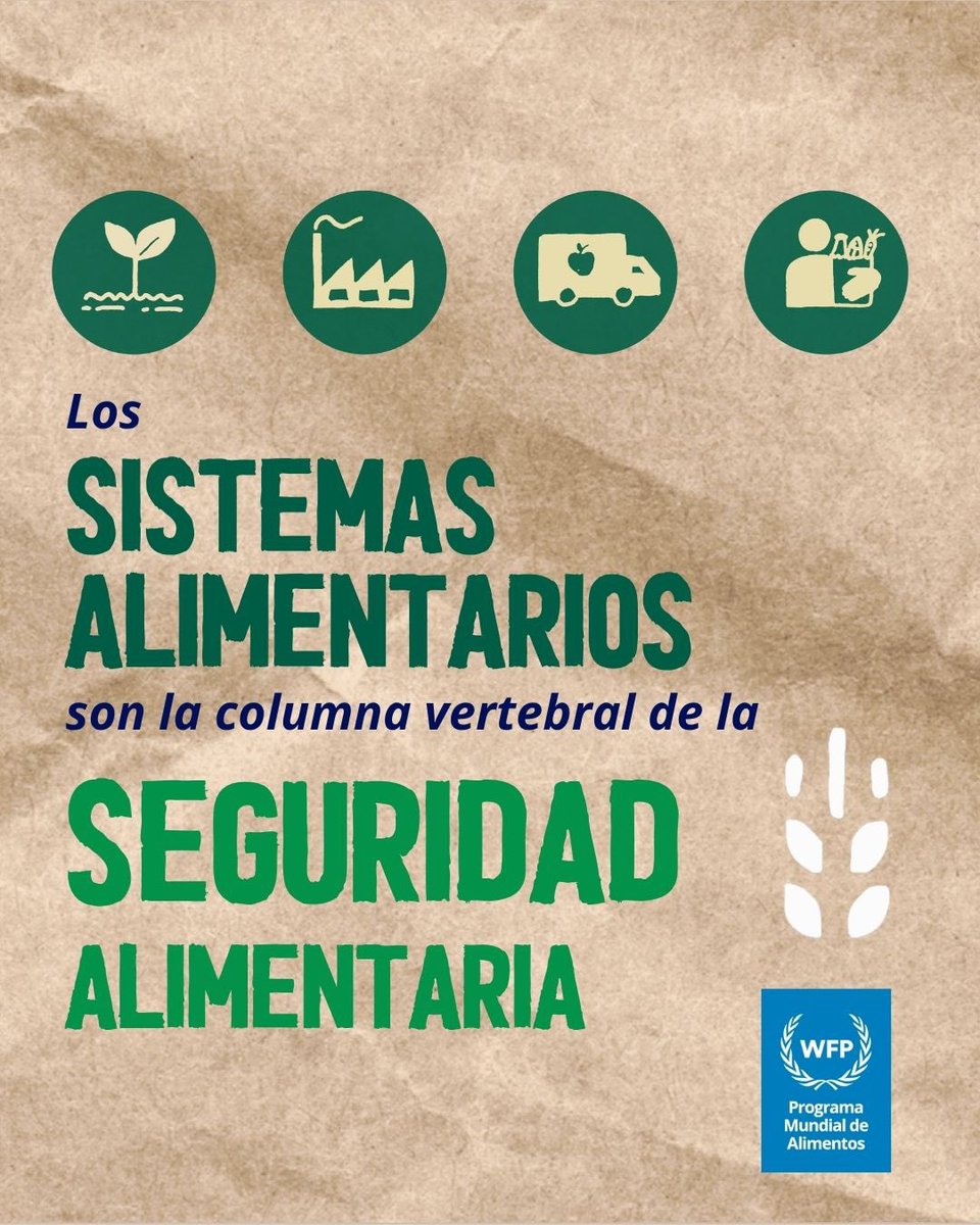 WFP Rep.Dominicana | Programa Mundial de Alimentos (@wfp_rd) on Twitter photo 🌱Los #sistemasalimentarios resilientes brindan una alimentación saludable para todos, incluso en tiempos de crisis.
Transformar los sistemas alimentarios es crucial para garantizar el acceso a alimentos nutritivos todo el año. #UNFSS2025
🫱🏿🫲🏾 <a href="/AgriculturaRD/">Ministerio de Agricultura RD</a> <a href="/MinpreRD/">Ministerio de la Presidencia</a> <a href="/ONU_RD/">Naciones Unidas RD</a> 🌱Los #sistemasalimentarios resilientes brindan una alimentación saludable para todos, incluso en tiempos de crisis.
Transformar los sistemas alimentarios es crucial para garantizar el acceso a alimentos nutritivos todo el año. #UNFSS2025
🫱🏿🫲🏾 <a href="/AgriculturaRD/">Ministerio de Agricultura RD</a> <a href="/MinpreRD/">Ministerio de la Presidencia</a> <a href="/ONU_RD/">Naciones Unidas RD</a>