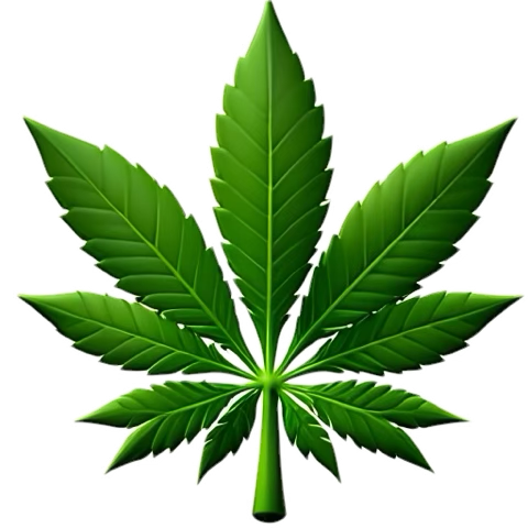 blenderboi's tweet photo. Got the best weed in the city hmu https://t.co/3KfdI0UW2F