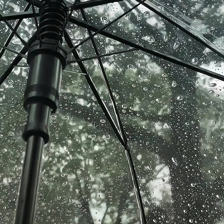 gIoomyweather's tweet image. rainy days.