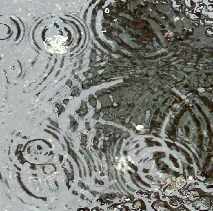 gIoomyweather's tweet image. rainy days.