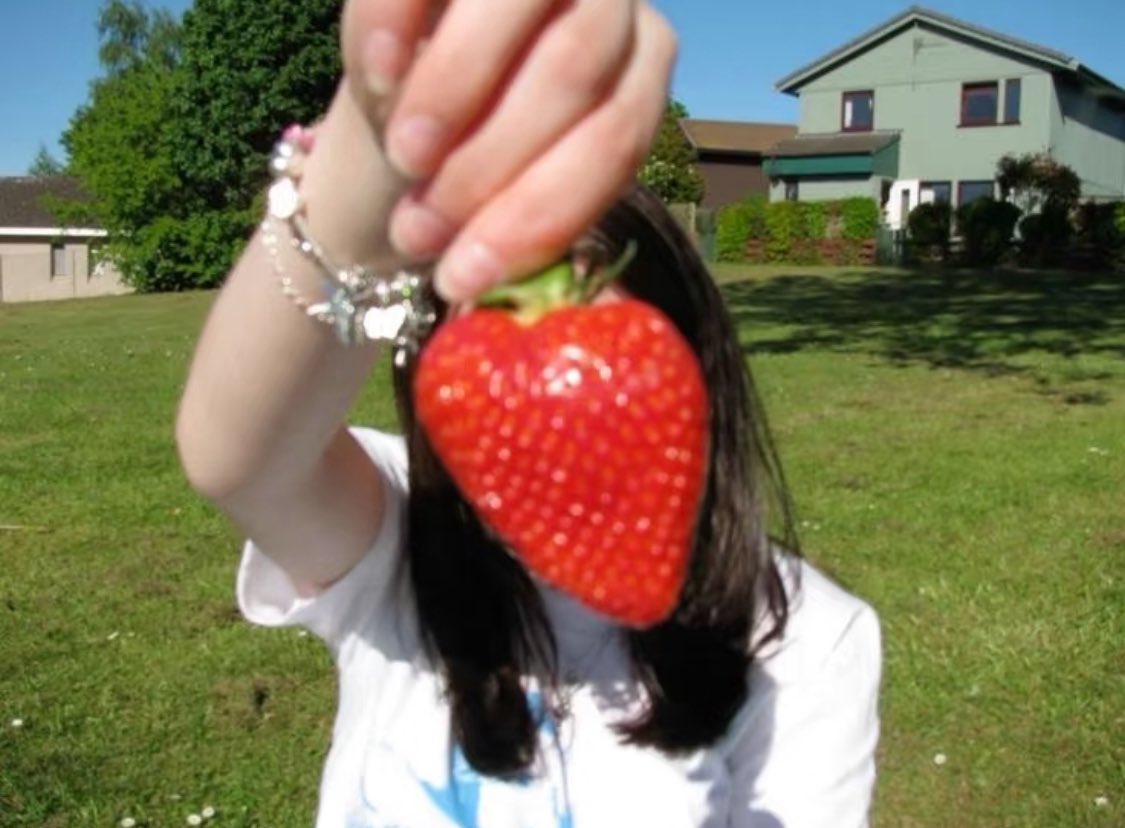 tom777cruise's tweet image. did you know that each “seed” on the outside of a 🍓 is an achene containing a microscopic dry fruit, and inside that fruit is the actual seed.
so when you eat a 🍓, you’re eating hundreds of tiny fruits embedded in swollen stem tissue.
