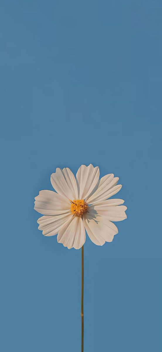 blue dream (@bluedreamvibes) on Twitter photo 