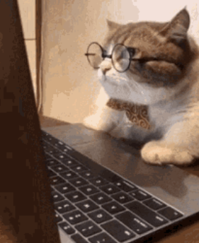 Bitowsky tweet media