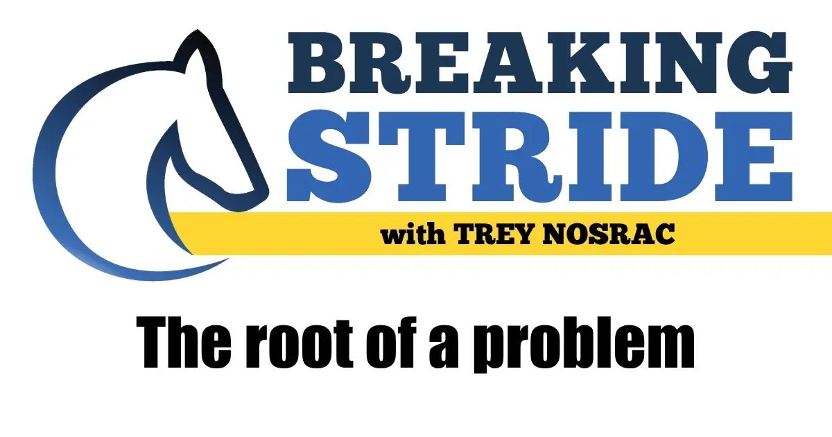 HarnessUpdate's tweet image. Nosrac: The root of a problem
buff.ly/821Qlzu
... Subscribe to HRU - for free - today at buff.ly/2JEfULa