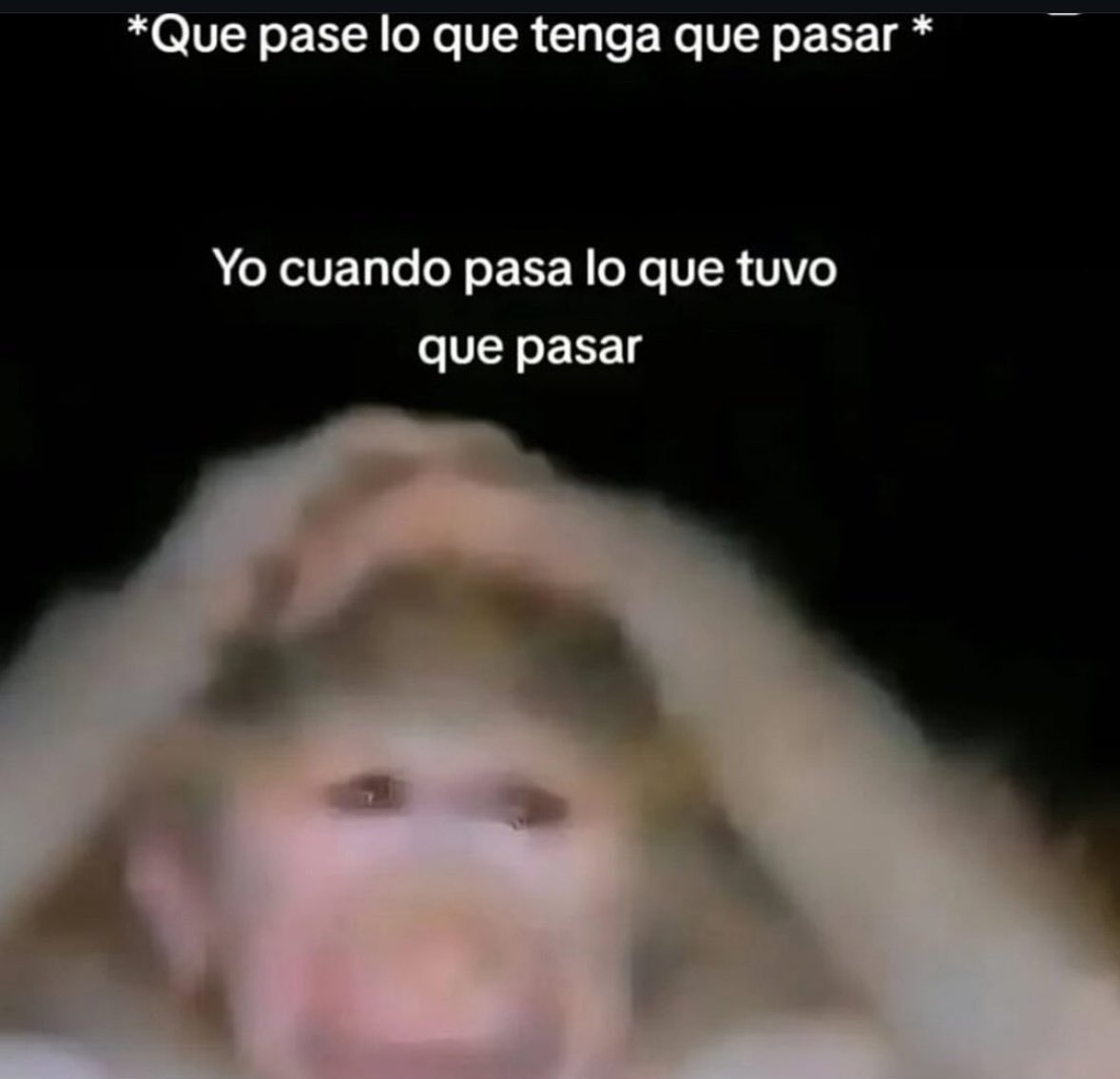 memefeos's tweet image. 