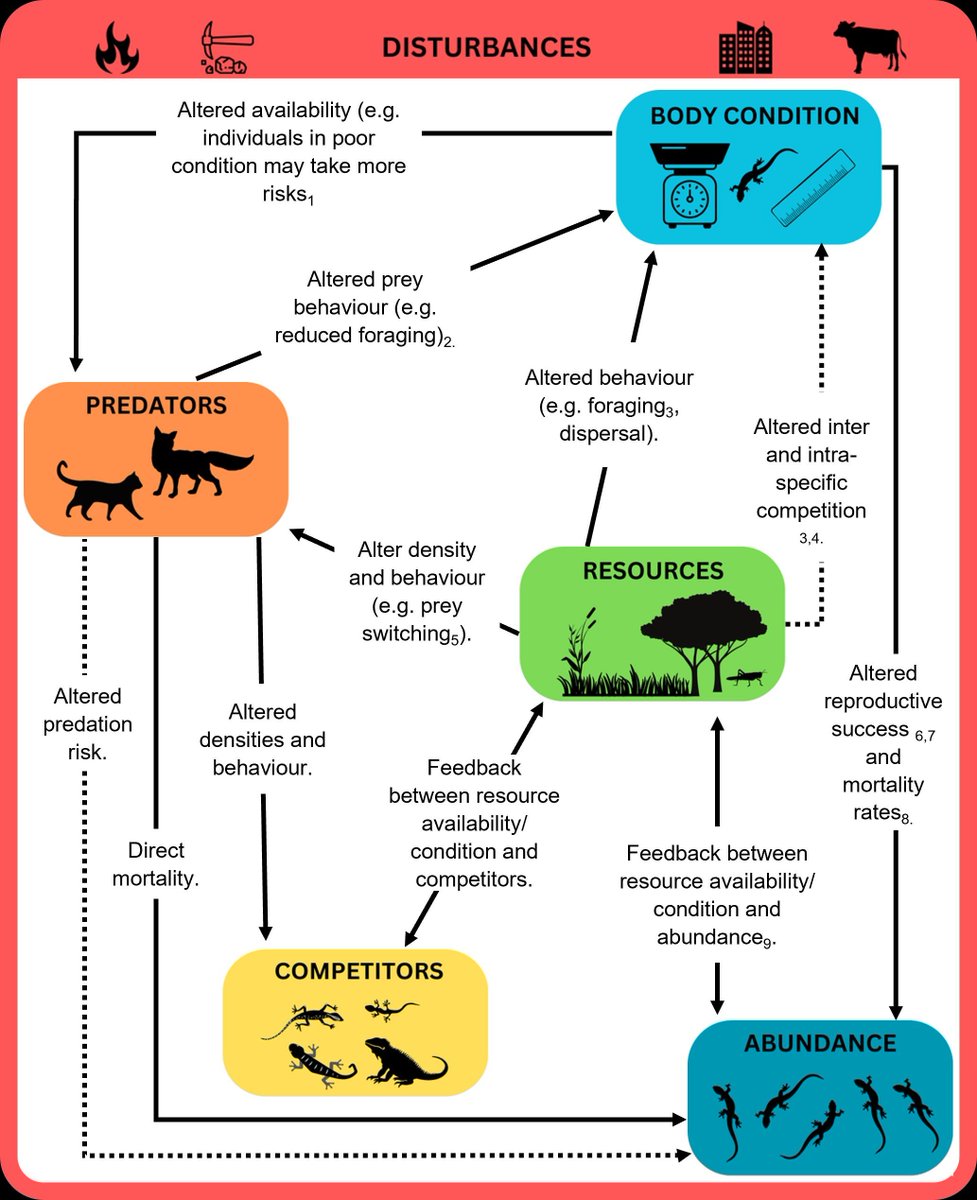 GlobalChangeBio's tweet image. Cross‐Continental Analysis Shows That Disturbance Effects on Reptile Body Condition Do Not Predict Abundance Responses 

🔗 buff.ly/gU04cG2