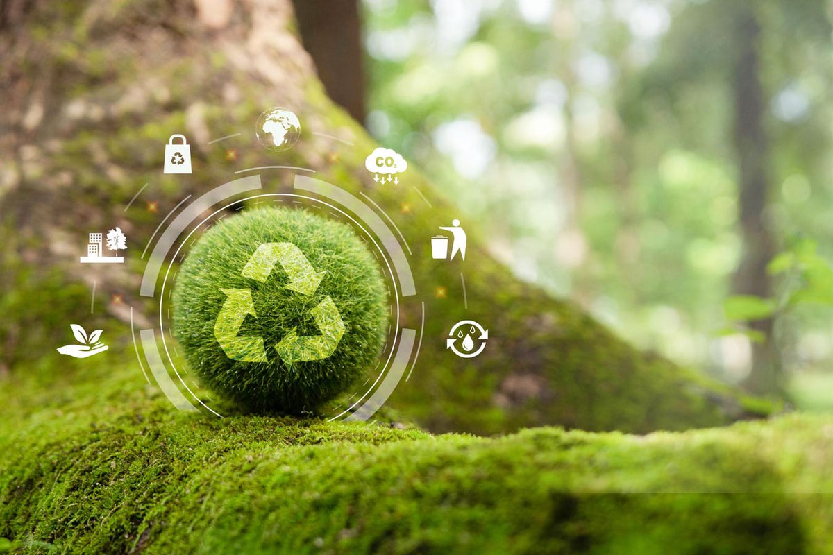 Coveragebycorso's tweet image. Even small businesses are joining the circular economy. Here's why sustainability matters, what you can do about it, and how it can help your business grow. st8.fm/46uVsuz