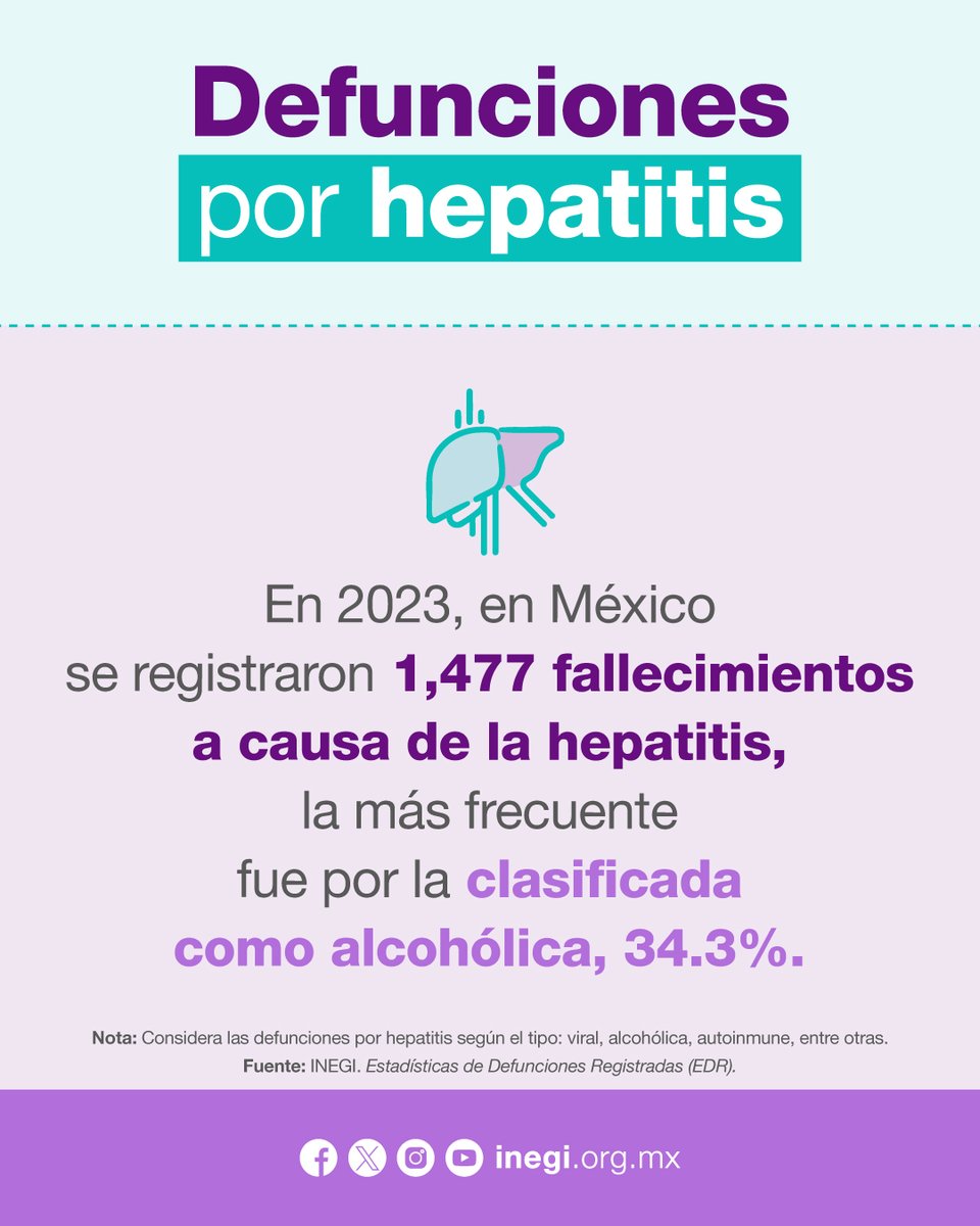 INEGI_INFORMA's tweet image. Hoy, en el marco del Día Mundial contra la Hepatitis, te compartimos este #DatoINEGI sobre cuántas personas fallecieron de esta enfermedad en 2023. 📊 ¡Conócelo!
Los registros administrativos que el #INEGI pone a tu disposición incluyen información sobre las defunciones en…