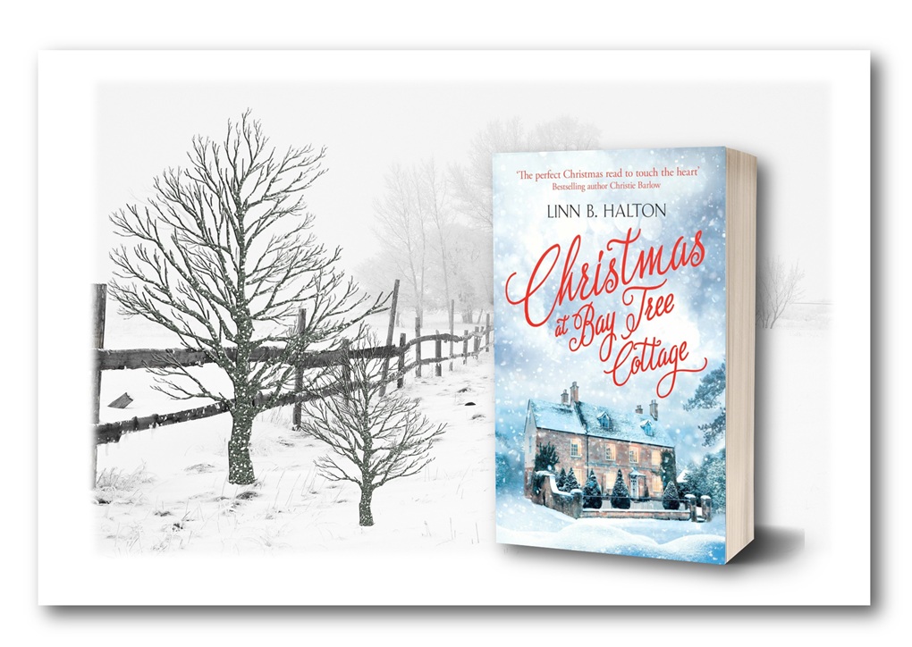 LinnBHalton's tweet image. π Cosy up time... but this cottage isn't quite ready... read chapter 1 here! linnbhalton.com/christmas-at-bβ¦