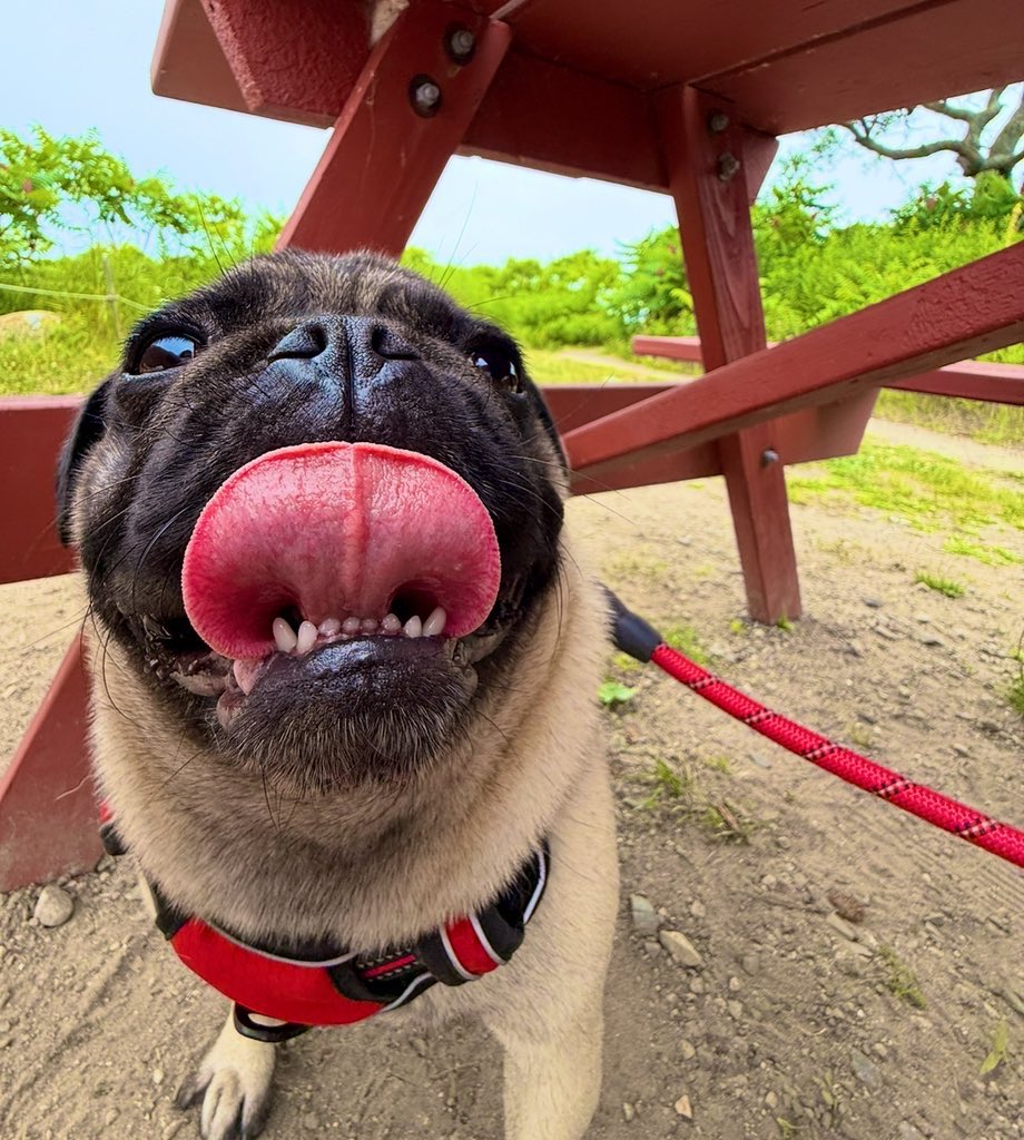 bethany ❤️🔥 tweet media