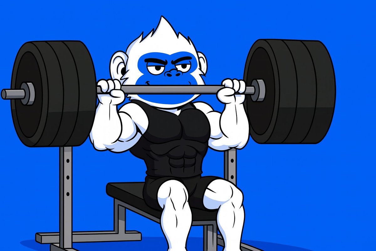 Bingo_base's tweet image. Still liftin’, still buildin’
We ain’t goin’ nowhere, $BINGO’s here for the long game 💪🎰🍀
#BINGO #BornLucky #CryptoGrind #BaseChain #MemeCoinLife #StayStrong #LongHaul #NoQuit #BuiltOnBase #LuckyHands
