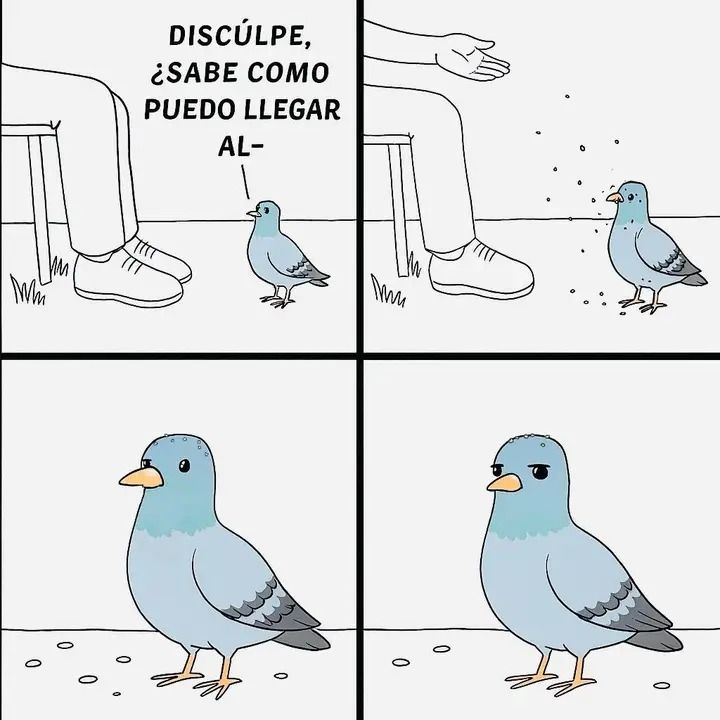 Más Ciencia tweet media