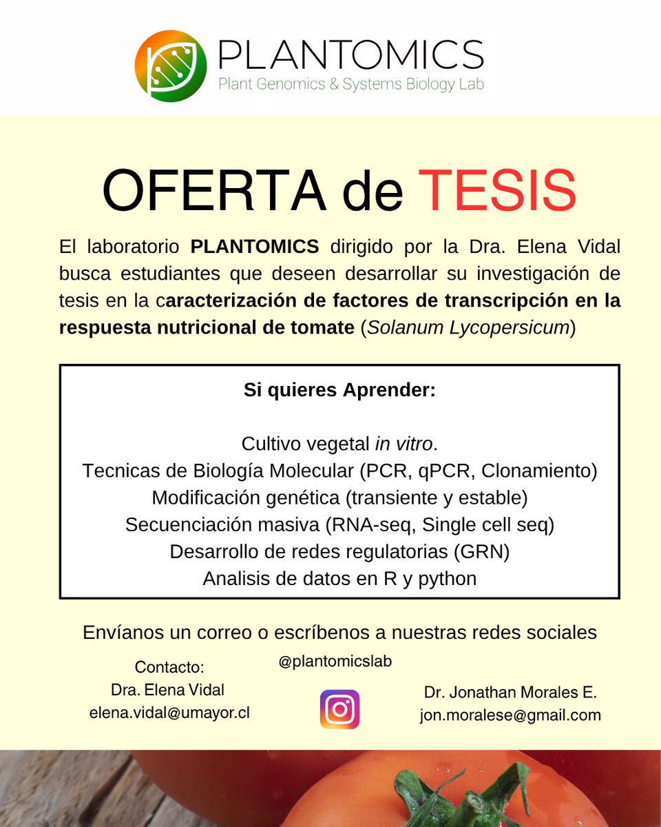 Núcleo Milenio PhytoLearning (@phytolearning) on Twitter photo ¡Atención biofans!
El lab PLANTOMICS de la Dra. Elena Vidal (@plantomicslab / Núcleo Milenio Phytolearning) busca:
🧪 Asistente de Investigación
📚 Tesista en tomate 🍅 y biología molecular
+info y contacto 👉 elena.vidal@umayor.cl | jon.moralese@gmail.com ¡Atención biofans!
El lab PLANTOMICS de la Dra. Elena Vidal (@plantomicslab / Núcleo Milenio Phytolearning) busca:
🧪 Asistente de Investigación
📚 Tesista en tomate 🍅 y biología molecular
+info y contacto 👉 elena.vidal@umayor.cl | jon.moralese@gmail.com