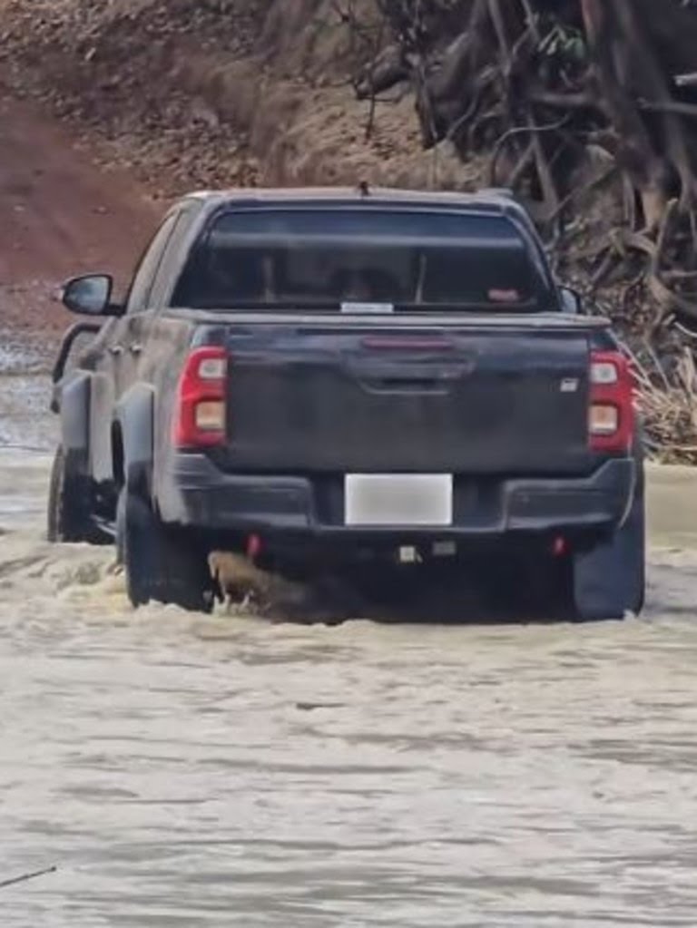 OreboundImages's tweet image. Don't believe a thing they tell you about Australia, ok 😂
Moment car runs over huge croc...
news.com.au/national/north…
#NT #TopEnd #Kakadu #Crocs