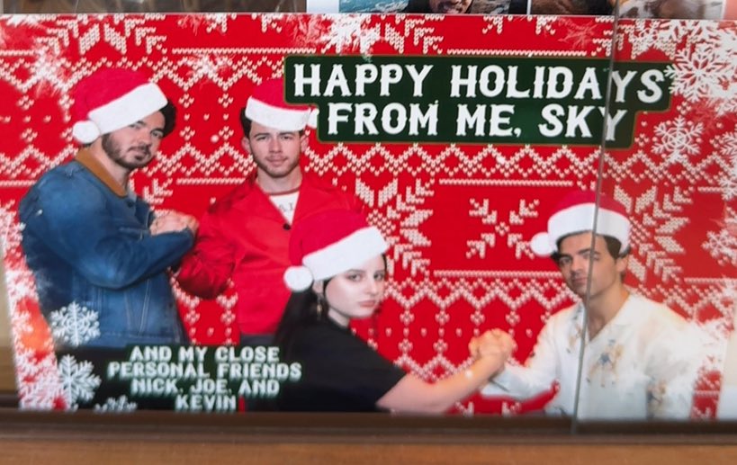 skymutsuko's tweet image. bf just said “one direction mentioned” on our ft call and then walked over to show me my own christmas card in his home that is a photo of me and the jonas brothers