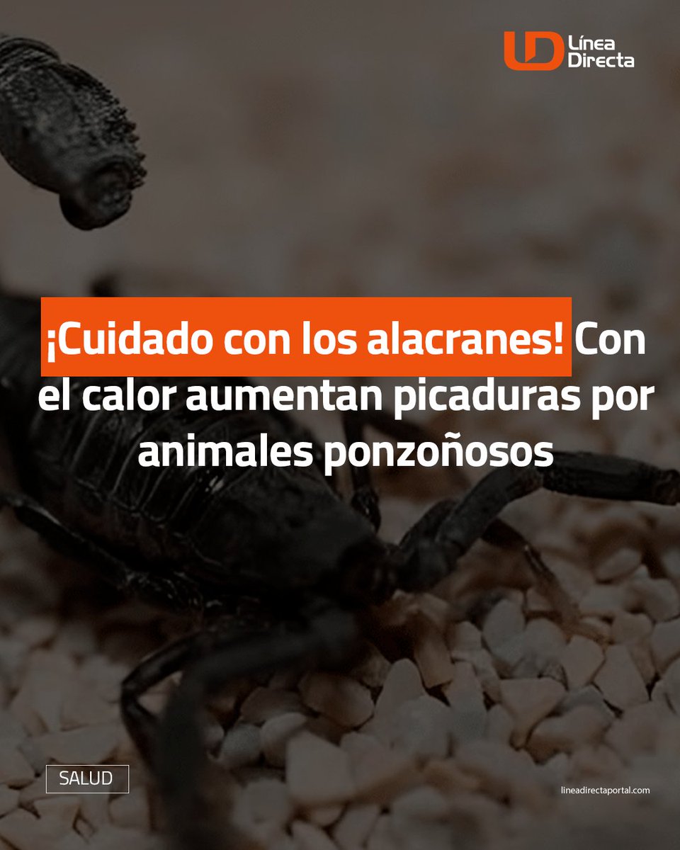 ¡Cuidado con los alacranes🦂! Con el calor aumentan ☀️🌡️ picaduras por animales ponzoñosos⚠️

🔗ldportal.com/3INk4ot

El jefe de la Jurisdicción Sanitaria 03 👤📄 recomendó a la población no automedicarse 💊 y buscar ayuda médica inmediata⛑️, pues puede ser la diferencia entre