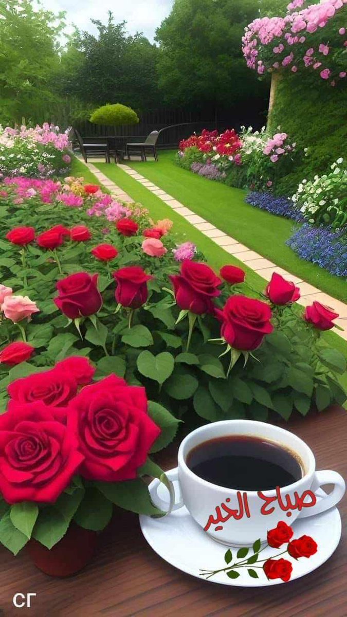 يوم ميلادك بهديتك محتار
اهديكي قلبي ..  عايش بروحك ؟
#صباحك