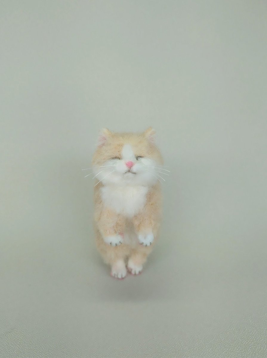 ひらぴー *羊毛フェルト* tweet media
